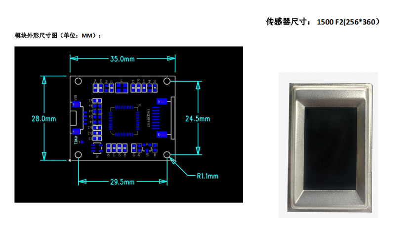 EST-FP1500指紋采集儀模塊尺寸圖